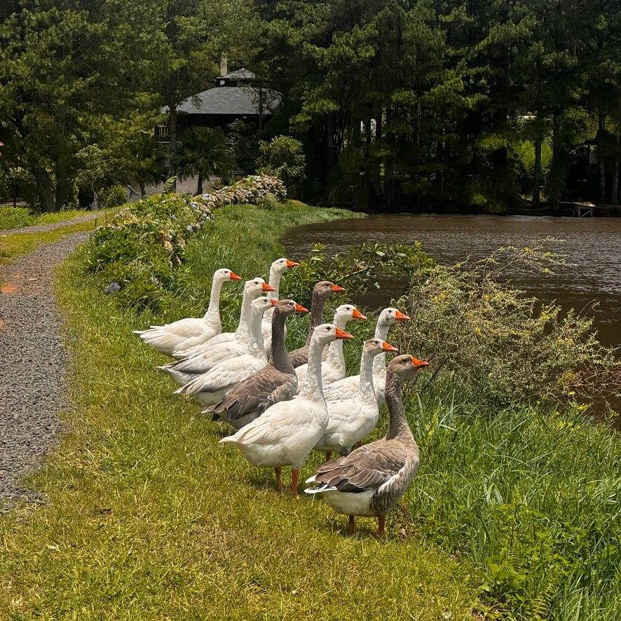 Vira Charme Resort-浴室