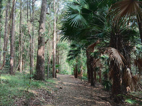 Wappa Dam-Yandina必去景点