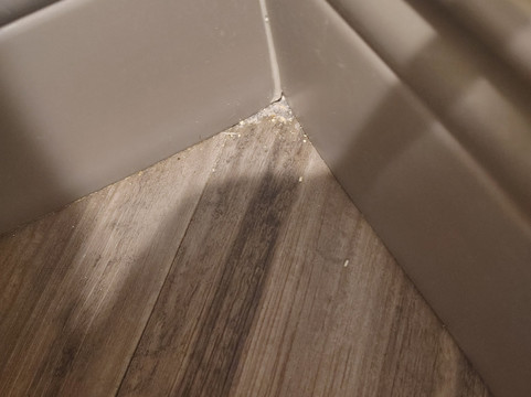 底特律乌蒂卡拉昆塔温德姆套房酒店主图