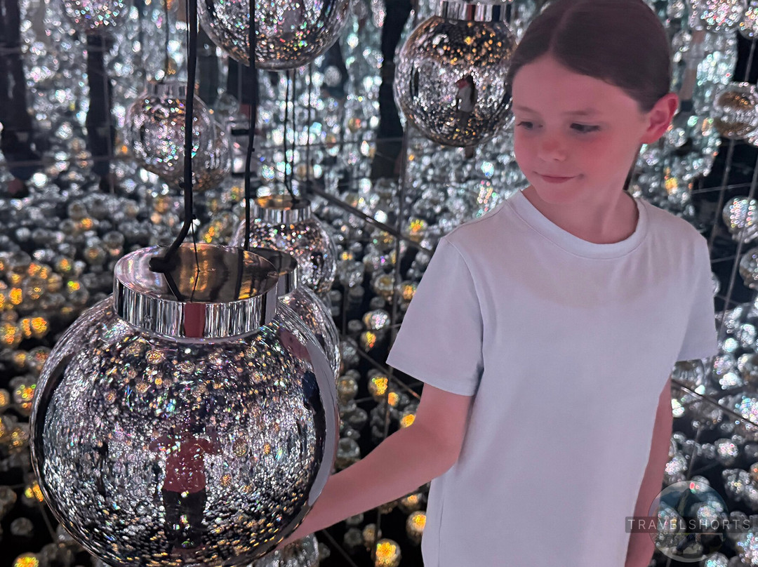 Teamlab Borderless Tokyo-港区必去景点