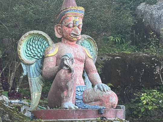 Mango Hill Yercaud主图