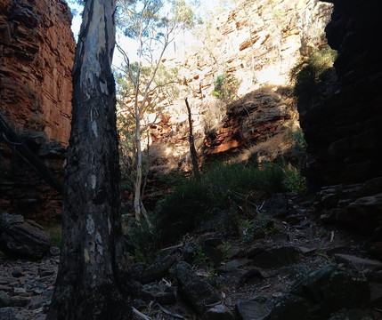 Alligator Gorge-Wilmington必去景点