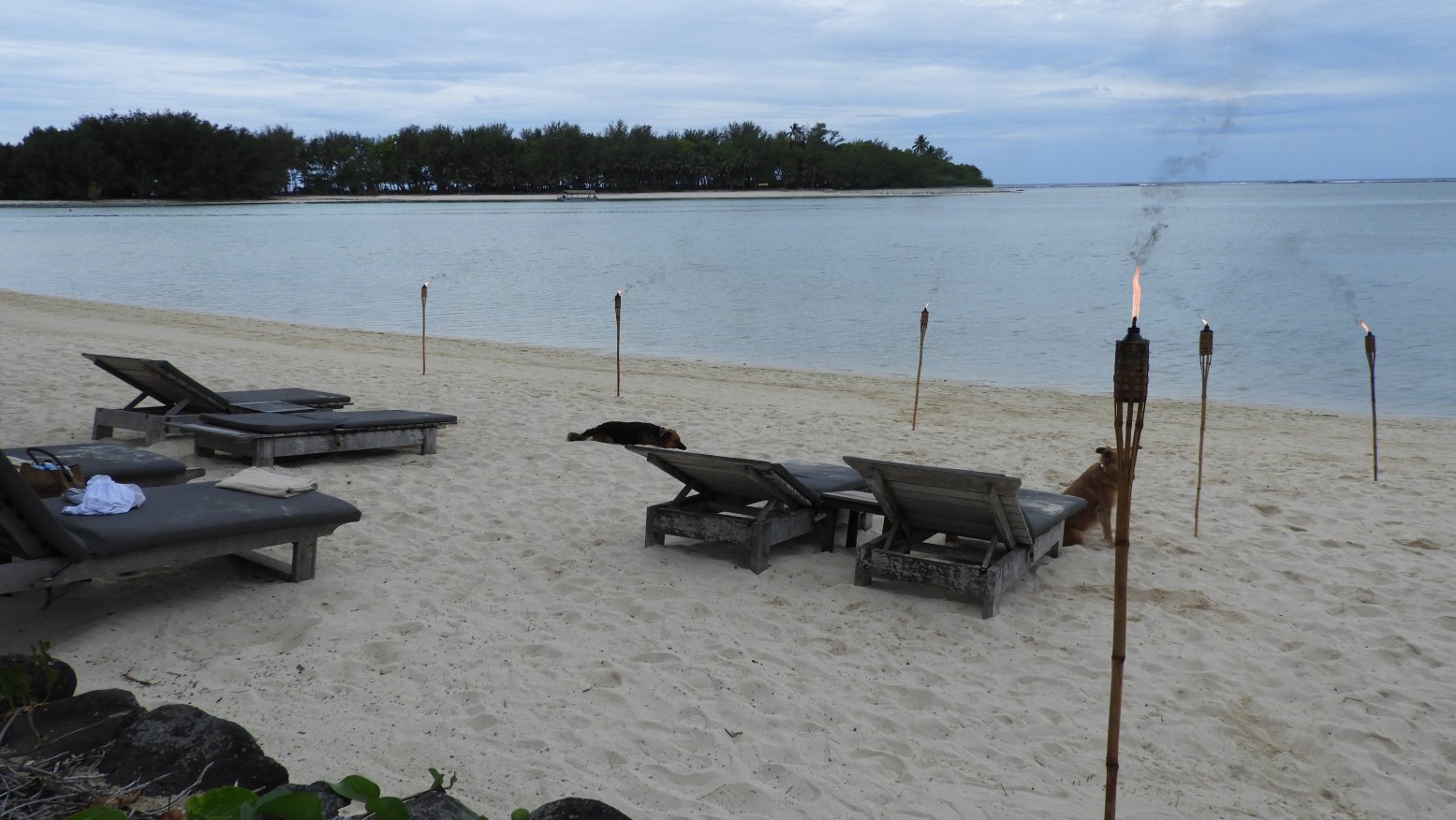 拉罗汤加岛太平洋度假酒店-泳池