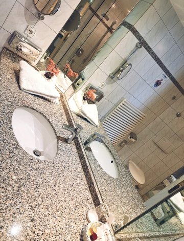 阿尔特米尔塔尔公园酒店-浴室