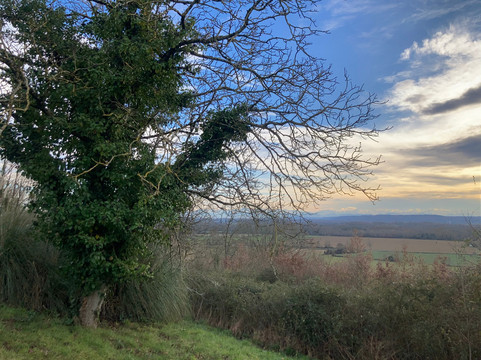 商旅餐厅酒店主图