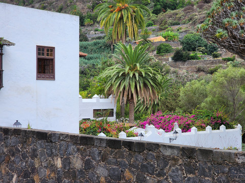 El Drago Milenario-伊科德洛斯维诺斯必去景点