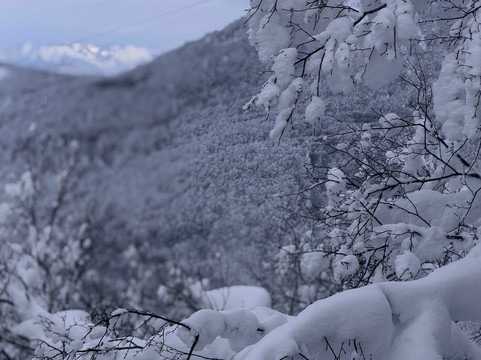 藏王索道-山形市必去景点