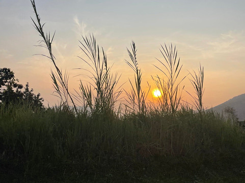 Truevine Safaris-坎帕拉必去景点