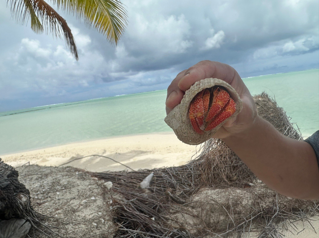 Bishops Cruises-艾图塔基必去景点