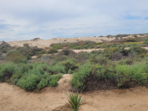 Vidanta Golf-新瓦雅塔必去景点