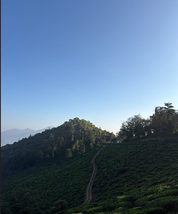 Chembra Peak-瓦亚纳德区必去景点