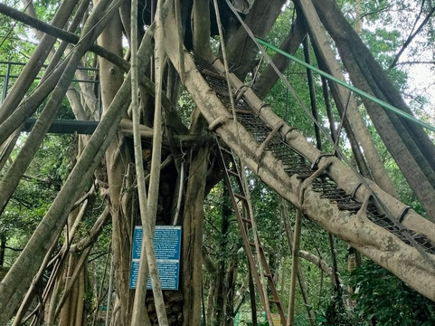 Kauthuka Park-Chalakudy必去景点