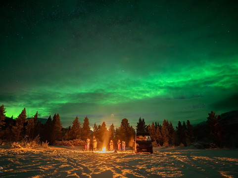 Blue Puffin-霍宁斯沃格必去景点