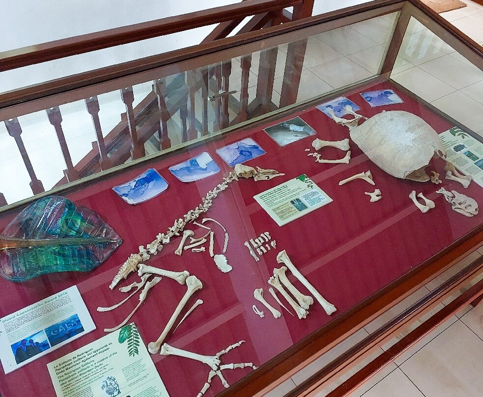 Grande Montagne Nature Reserve-罗德里格斯岛必去景点