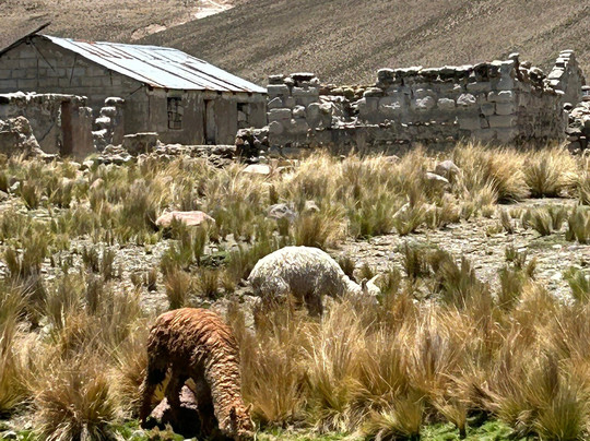Inca Footsteps-库斯科必去景点