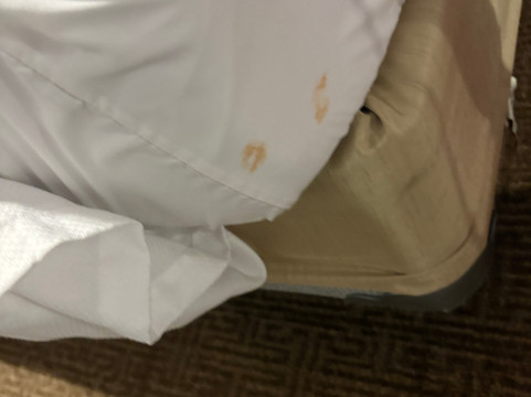 兰开斯特羚羊谷舒适套房酒店主图