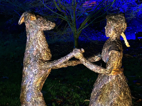 Westonbirt Arboretum-泰特伯里必去景点