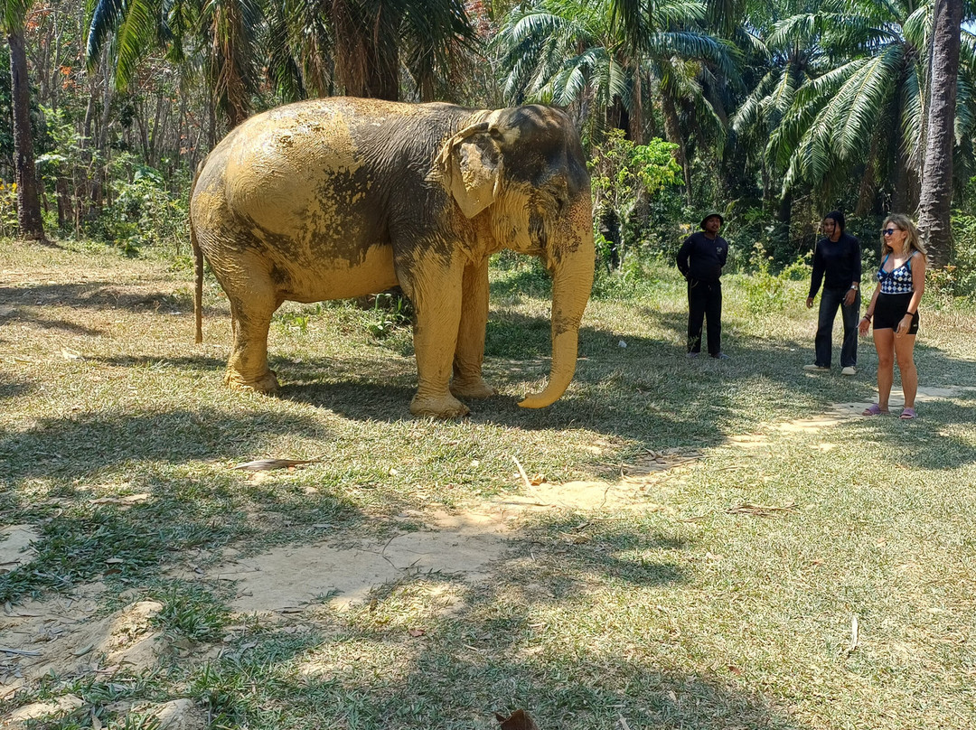Lanta Elephant Sanctuary-兰塔岛必去景点