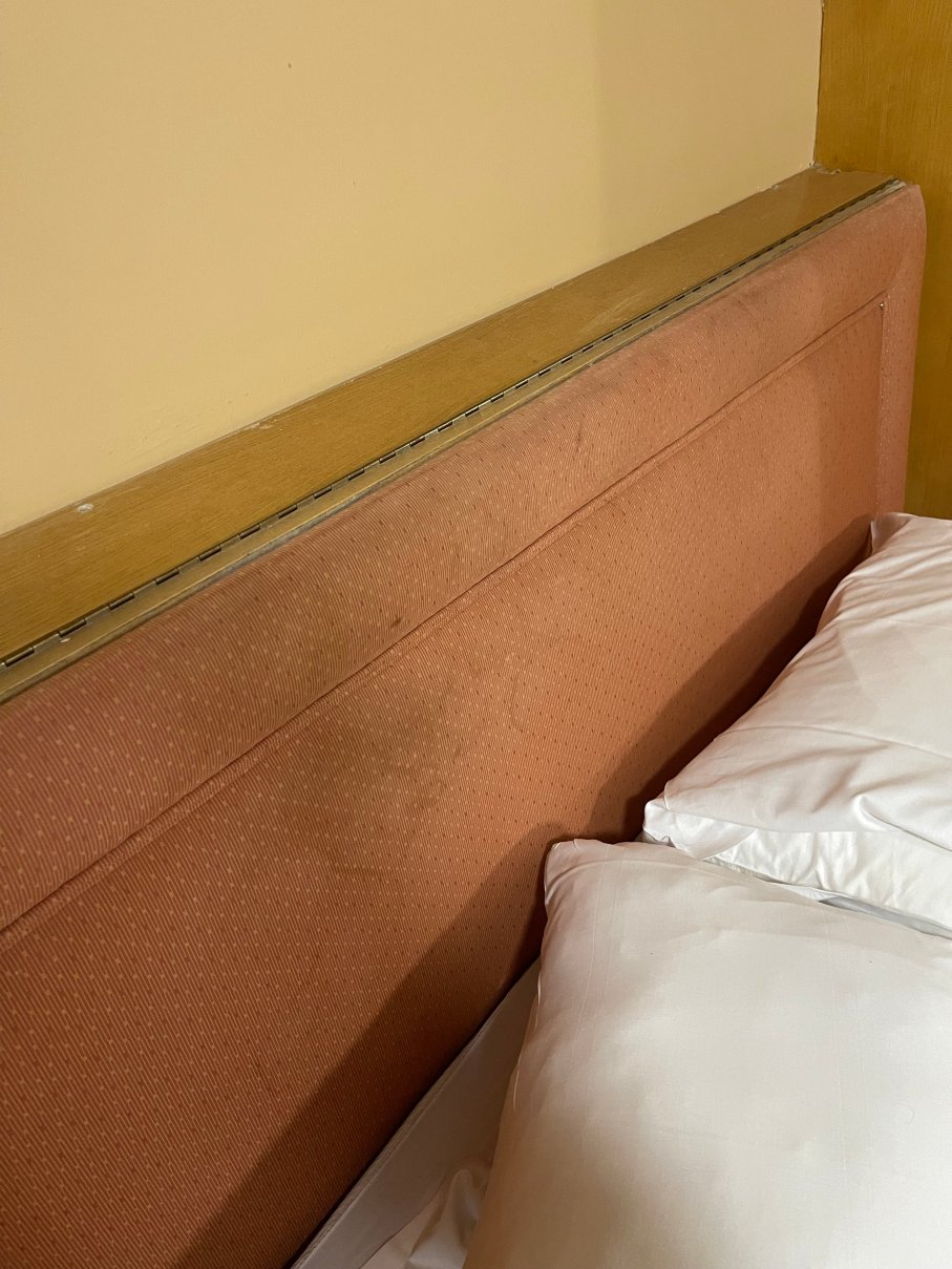 卡林顿豪斯酒店-客卧