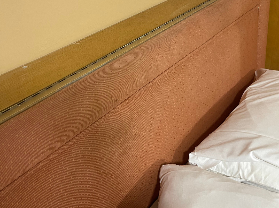 卡林顿豪斯酒店主图