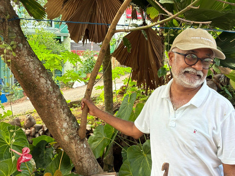 Nandana Tea Factory-Akuressa必去景点