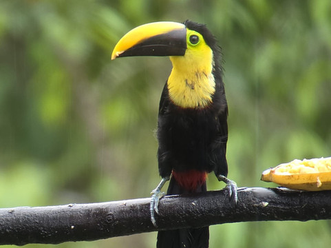 Columbus Travel-基多必去景点