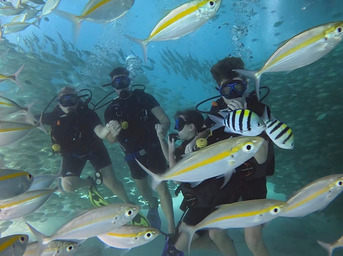 夏基潜水中心-卡伦必去景点