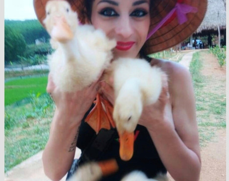 The Duck Stop-Hung Trach必去景点