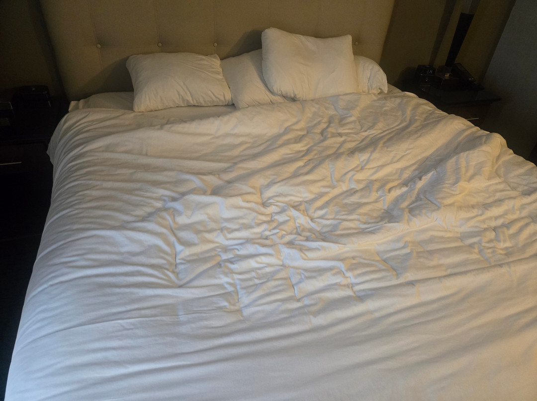 圣保罗市中心德鲁里广场酒店主图