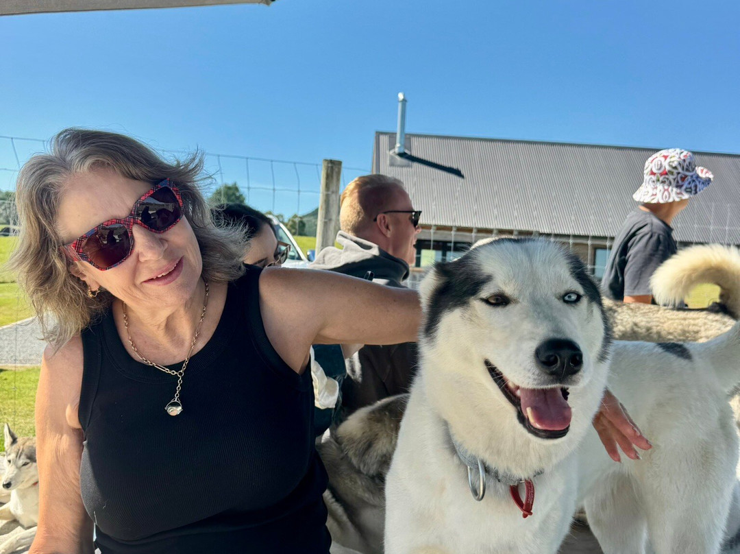 Timberline Racing Siberian Huskies-陶波必去景点