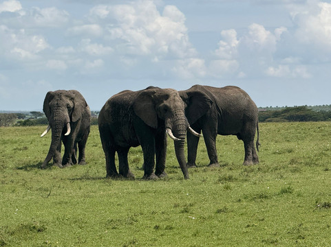 Journeys Beyond Africa-内罗毕必去景点