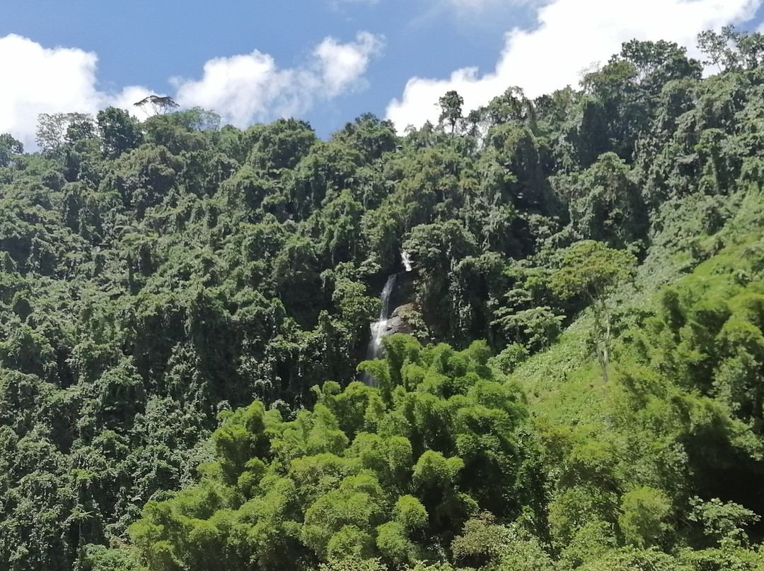 Discover Fiji Tours-Navua必去景点