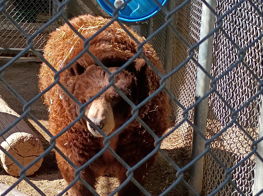 Southwest Wildlife Conservation Center-斯科茨代尔必去景点