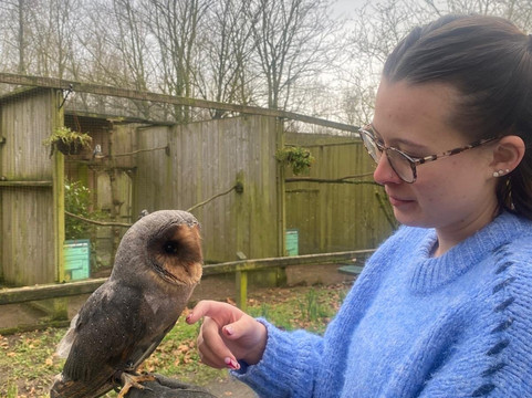 World of Owls-Randalstown必去景点