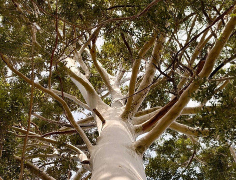 Stony Brook Vineyards-法兰舒克必去景点