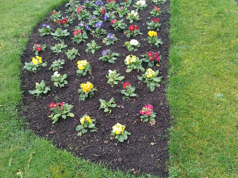 Freckleton war Memorial-Freckleton必去景点