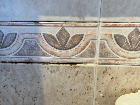 纽尼特 SPA 酒店主图