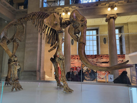 National Museum Cardiff-卡迪夫必去景点