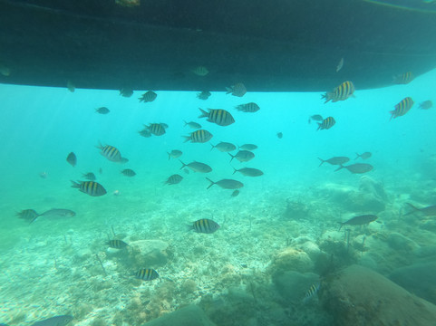 Mawaly Excursions-Terre-de-Haut必去景点