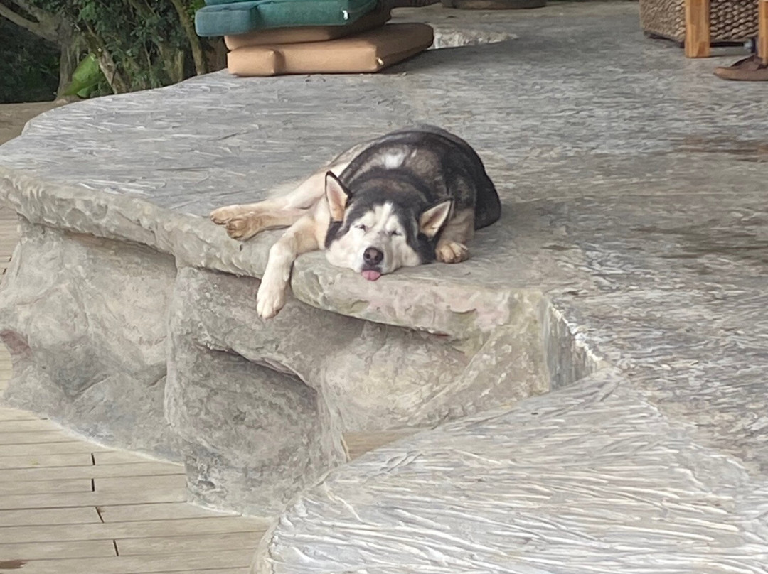 塞罗图莎泉主图