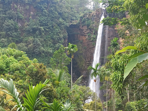 Tour In Lanka-尼甘布必去景点
