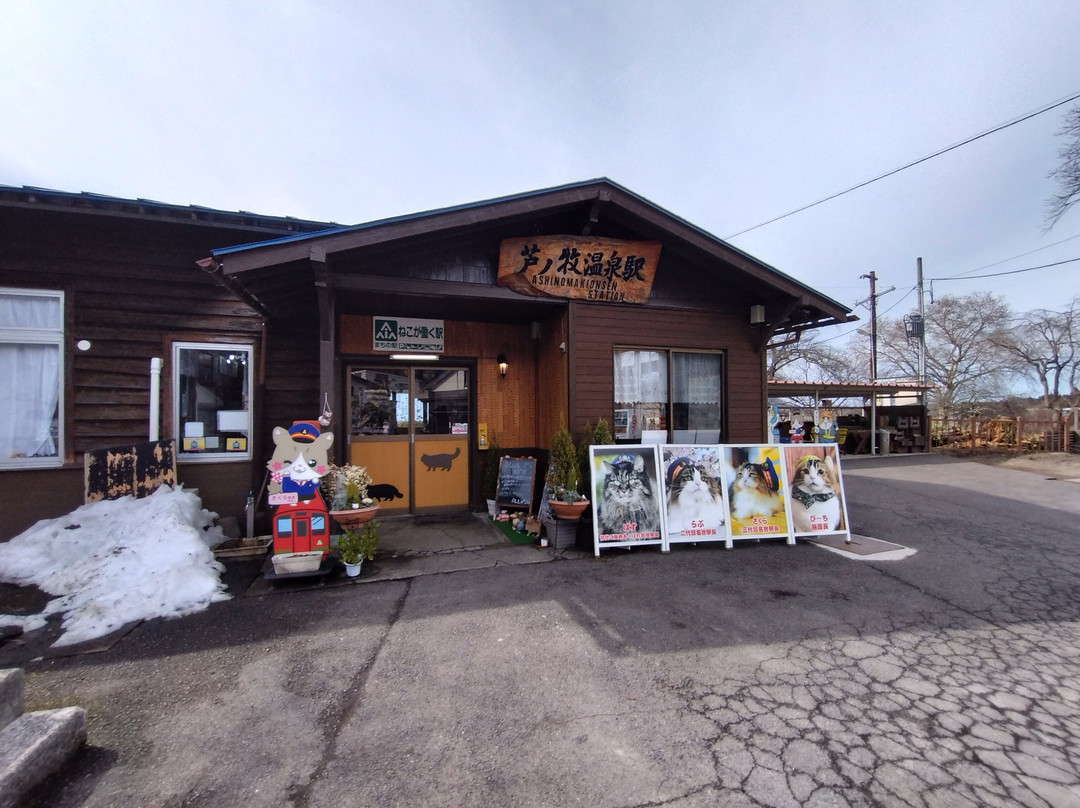 Ashinomaki Onsen Station-会津若松市必去景点