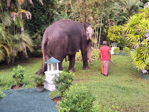 保格别墅酒店主图