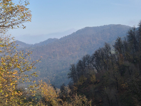 Hirkan National Park-阿斯塔拉必去景点