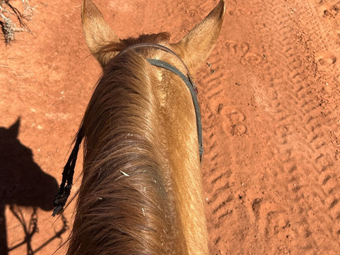 Blue Sage Adventures-Hildale必去景点