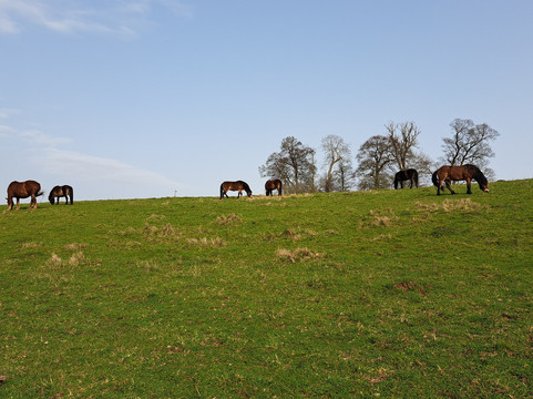 科茨沃尔德农场公园-Kineton必去景点