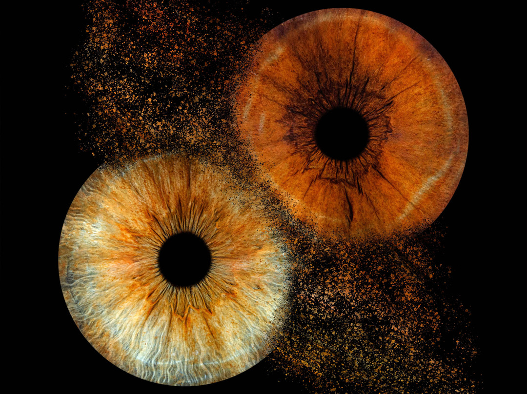 Iris Galerie Hasselt