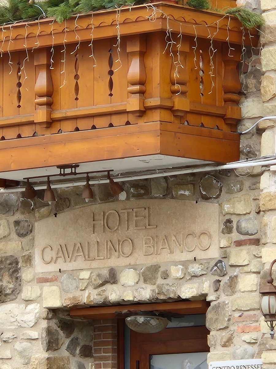Hotel Cavallino Bianco-官方
