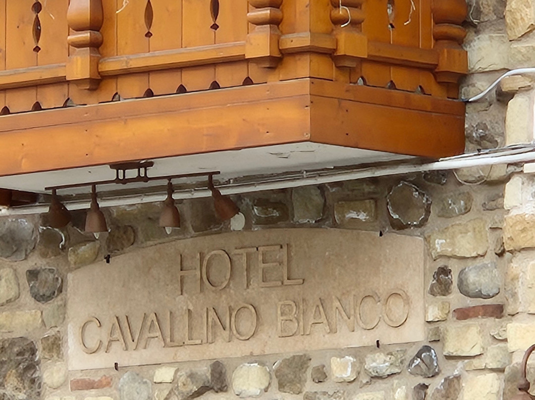 Hotel Cavallino Bianco主图