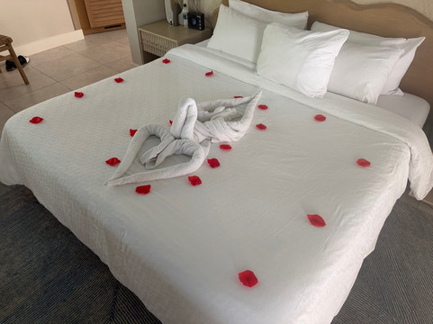 Sandals Royal Curacao主图